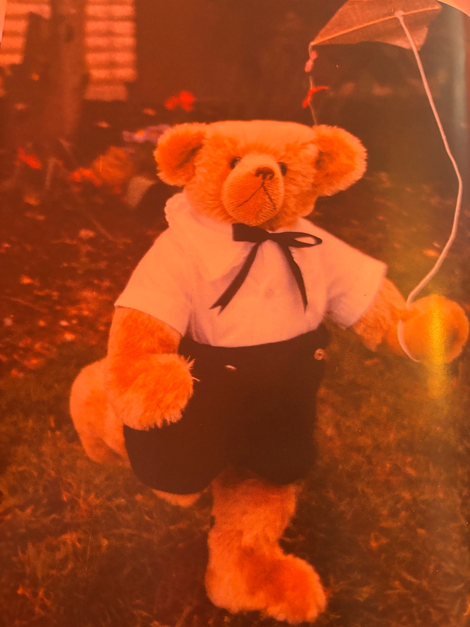 Complete Book of Teddy Bears