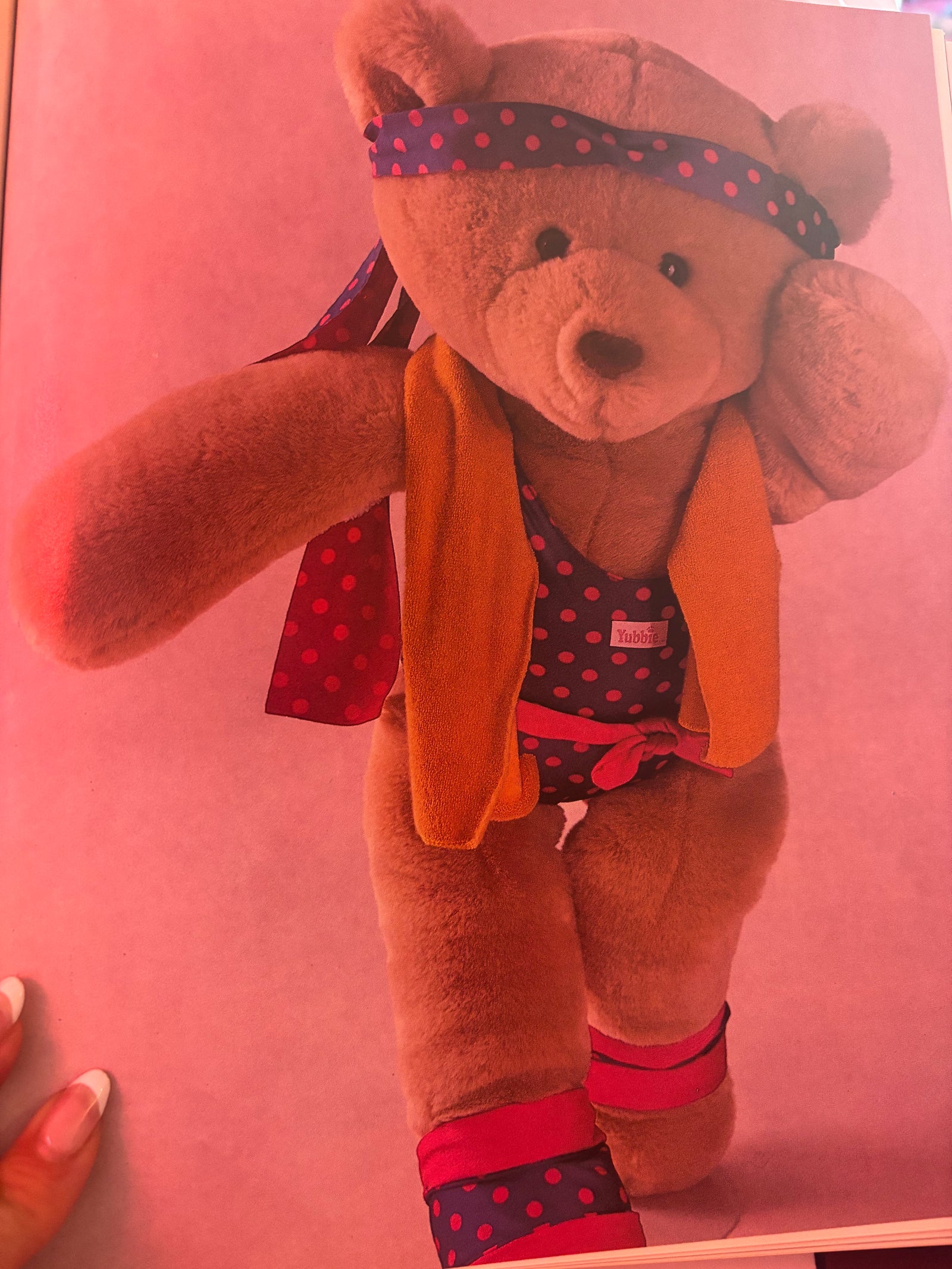 Complete Book of Teddy Bears