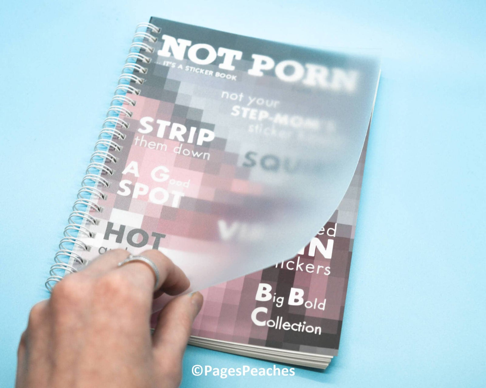 Not Porn Reusable Sticker Keeping Book