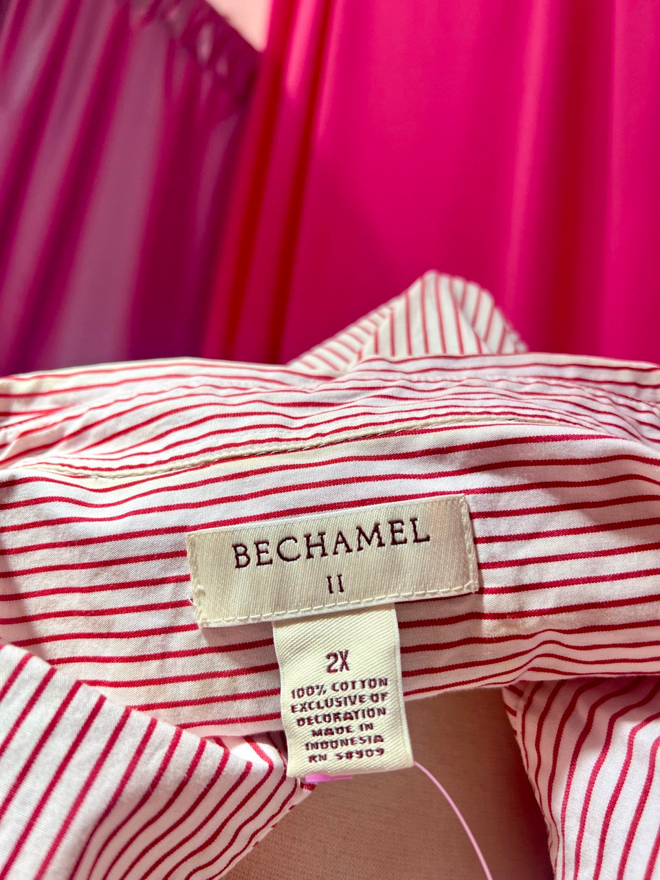 Cats, Bugs, and Stripes Embroidered Button Up