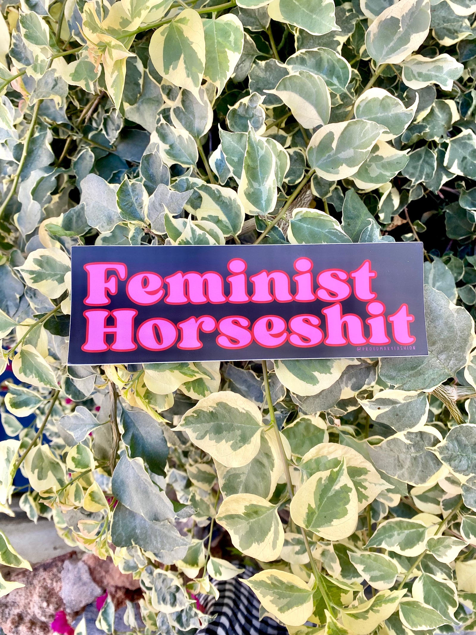 Feminist Horseshit Bumper Sticker