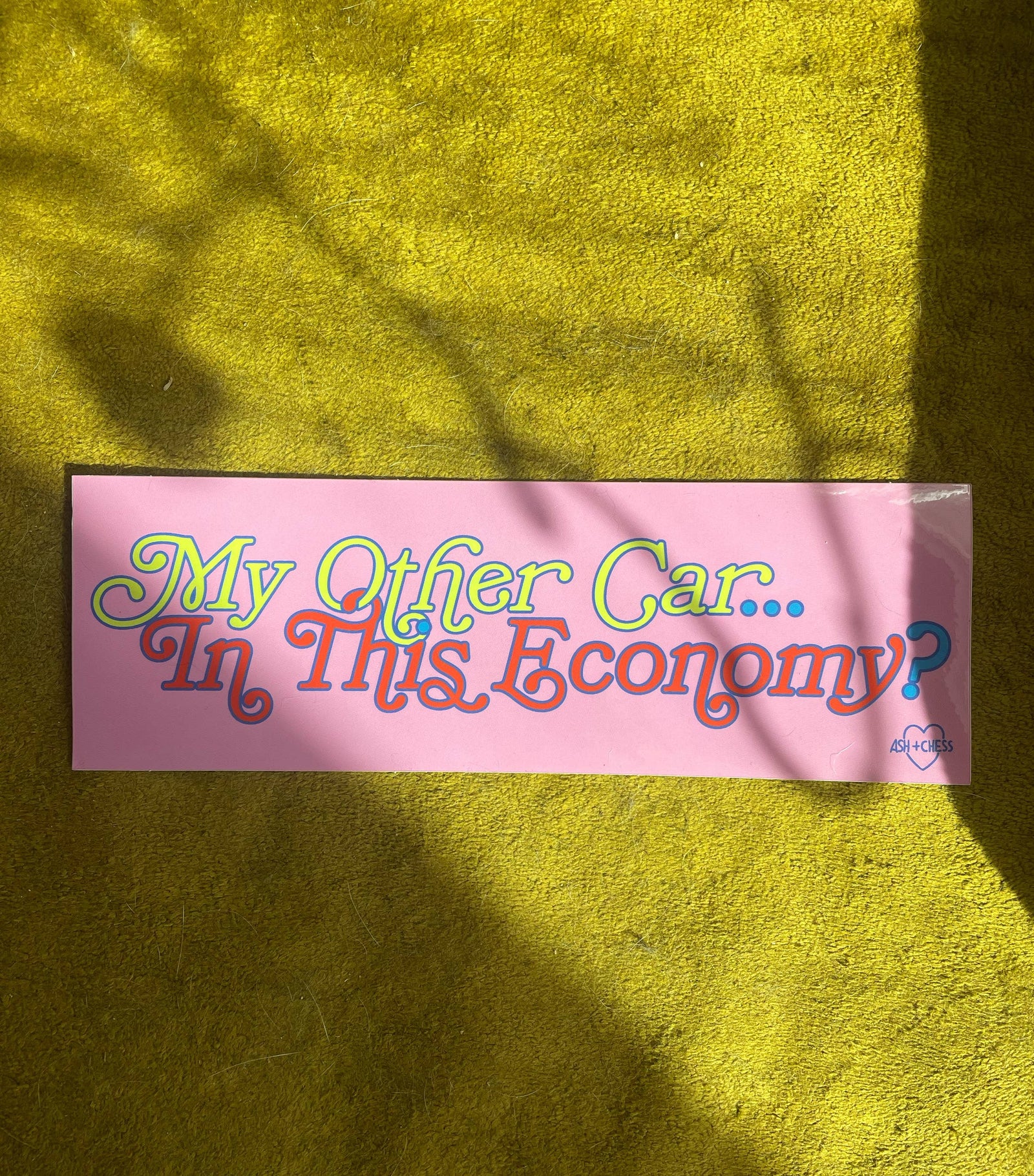 Bumper Sticker - My Other Car...In This Economy?