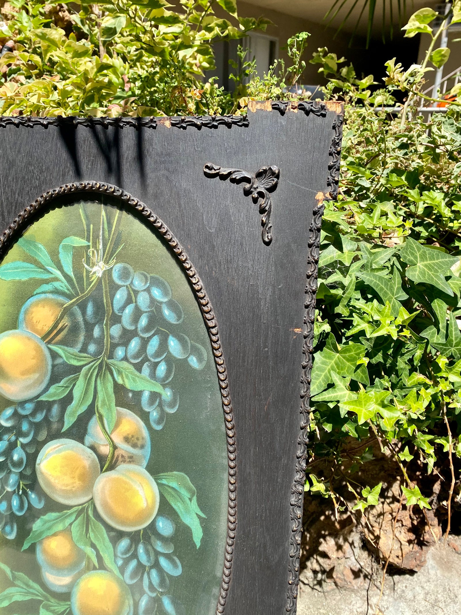 Antique Gothic Framed Fruit Print - Locals Only