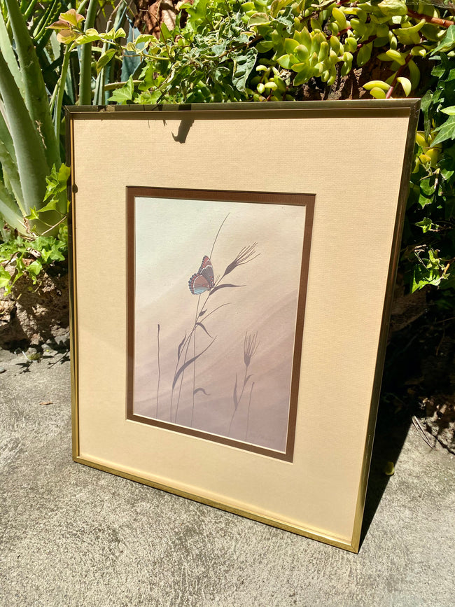 1970’s Cathy Bouchard Framed Butterfly Print