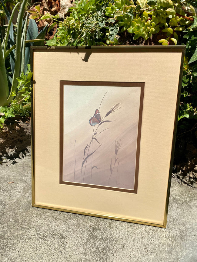 1970’s Cathy Bouchard Framed Butterfly Print