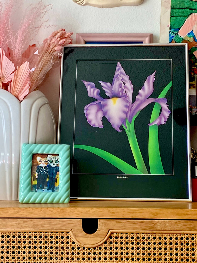1980’s Iris Versicolor Framed Print - Locals Only