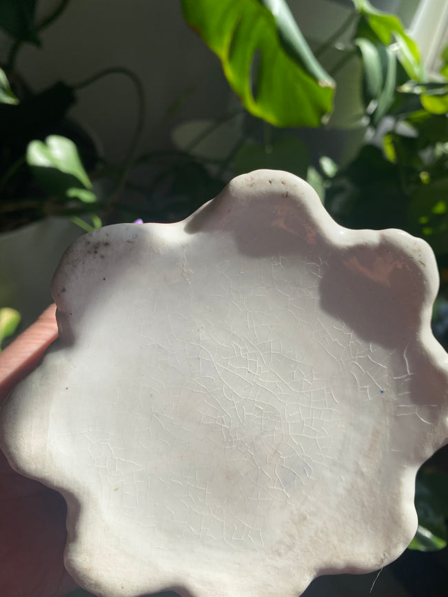 1960’s Pink and Cream Pitcher - Locals Only