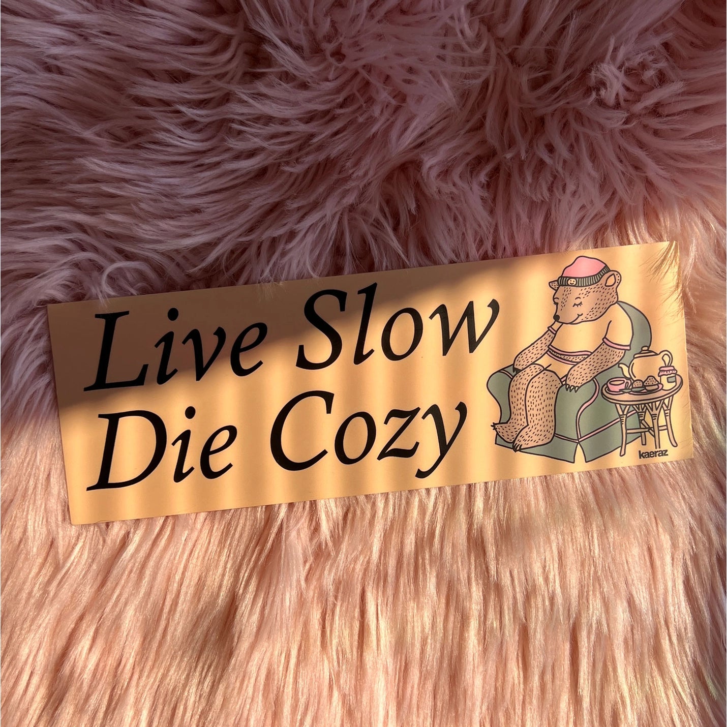 Live Slow Die Cozy Bumper Sticker