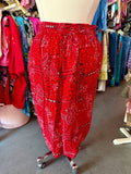 Howdy Partner Paisley Skirt - Fits like a 2X/3X