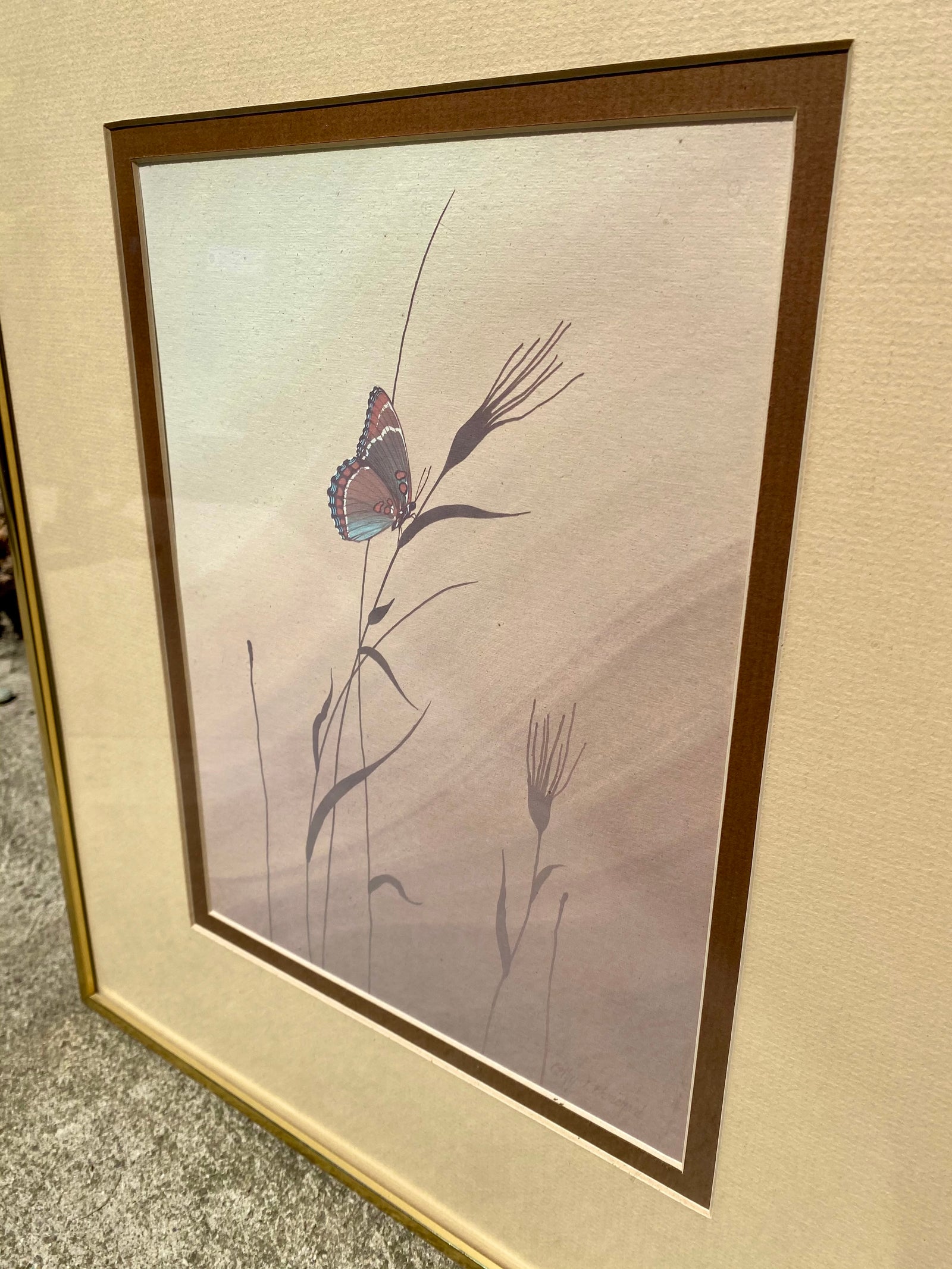 1970’s Cathy Bouchard Framed Butterfly Print
