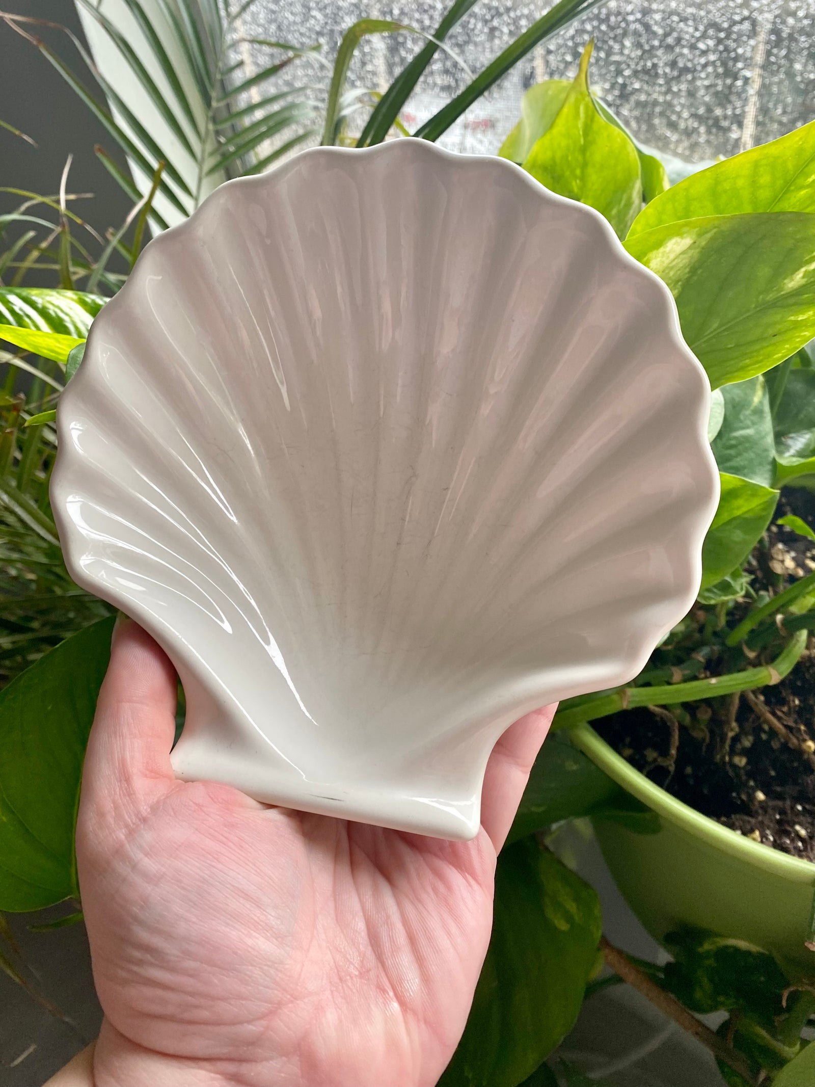 vintage large scallop sea shell – 86 Vintage